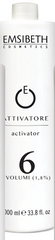 Emsibeth activator 1.8% 6vol 1000ml