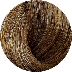 KC Permanent Colour 8/ON Extreme Intense Light Blonde, Extreme Intense Naturals