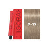 IGORA ROYAL Cools 9-19 60ml - WAHairSuppliers