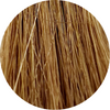 Wella CT 8/73-Light Blonde Brown Gold - WAHairSuppliers