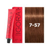 IGORA ROYAL 7-57 Medium Blonde Gold Copper 60 ml - WAHairSuppliers