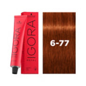 IGORA ROYAL 6-77 Dark Blonde Copper Extra 60 ml