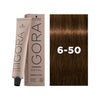 IGORA ROYAL Absolutes 6-50 Dark Blonde Gold Natural 60 ml - WAHairSuppliers