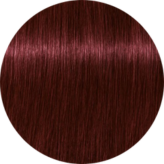 Schwarzkopf Igora Royal 4-88 Medium Brown Red Extra