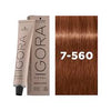 Schwarzkopf Igora Royal Permanent Colour Absolutes 7-560 Medium Blonde Gold Chocolate Natural 60ml - WAHairSuppliers