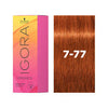 IGORA VIBRANCE 7-77 Medium Blonde Copper Extra 60ml - WAHairSuppliers
