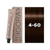 Schwarzkopf Professional Igora Royal Absolutes 4-60 Medium Brown Chocolate Natural - 60ml - WAHairSuppliers