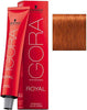 Schwarzkopf Igora Royal Permanent Hair Colour 60 ml, No. 7-77 Blonde Intense Copper - WAHairSuppliers