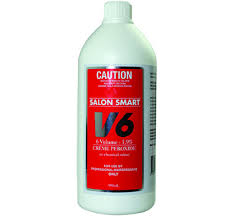 Salon Smart 6 Vol Peroxide 1L