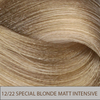 Aura Permanent Hair Colour 12.22 - Special Blonde Matt Intensive 100ml - WAHairSuppliers