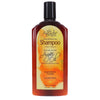 Agadir Argan Oil Daily Moisturizing Shampoo 366ml - WAHairSuppliers