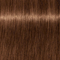 Schwarzkopf Igora Royal Absolutes 6-60 Dark Blonde Chocolate Natural 60ml