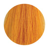 Fanola Colour Yellow Intensifier 100ml - WAHairSuppliers