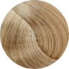 Fanola Colour 10.0 Blonde Platinum - WAHairSuppliers