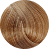 Fanola Colour 10.14-Almond - WAHairSuppliers