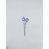 WAHS Japanese Steel 6.5" Scissor Silver - WAHairSuppliers