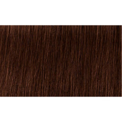 Indola Colour 4.4-Medium Brown Copper
