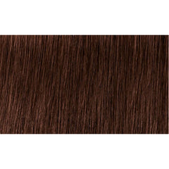 Indola Colour 5.56-Light Brown Mahogany Red
