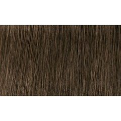 Indola Colour 6.0-Dark Blonde Natural