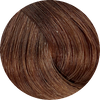 Fanola Colour 6.14-Hazelnut - WAHairSuppliers