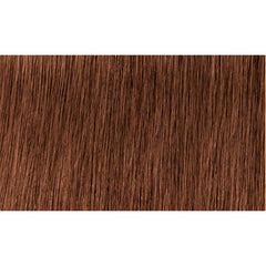 Indola Colour 6.34-Dark Blonde Gold Copper