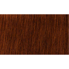 Indola Colour 6.43-Dark Blonde Copper Gold