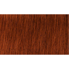 Indola Colour 6.44-Dark Blonde Intense Copper