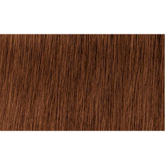 Indola Colour 6.48-Dark Blonde Copper Chocolate