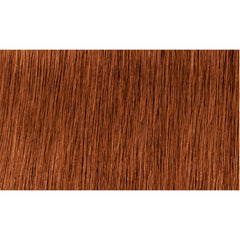 Indola Colour 6.4-Dark Blonde Copper