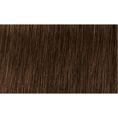 Indola Colour 6.84-Dark Blonde Chocolate Copper