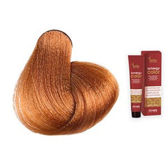 Echos Synergy Color Hair Colour 8.34 Golden Copper Light Blonde