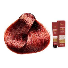 Echos Synergy Color Hair Colour 4.5 Mahogany Chestnut