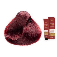 Echos Synergy Color Hair Colour 5.52 Mahogany Violet Light Chestnut