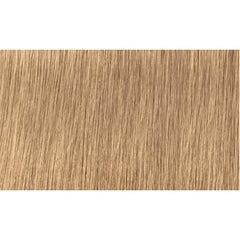 Indola Colour 8.03-Light Blonde Natural Gold