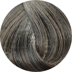 galop spurv Tak Fanola Colour 8.11-Light Blonde Int Ash – WA Hair Suppliers