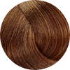 Fanola Colour 8.14-Cocoa - WAHairSuppliers