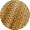 Wella Illumina Color 8/38-Light Gold Pearl Blonde - WAHairSuppliers