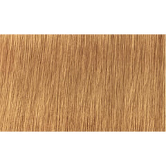 Indola Colour 8.3-Light Blonde Gold