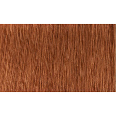 Indola Colour 8.43-Light Blonde Copper Gold