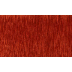 Indola Colour 8.44x-Light Blonde Intense Extra Copper