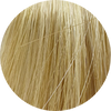 Wella Illumina Color 9/03-Very Light Natural Gold Blonde - WAHairSuppliers