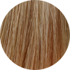 Wella CT 8/38-Light Blonde Gold Pearl - WAHairSuppliers