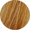 Wella CT 9/3-Very Light Blonde Gold - WAHairSuppliers