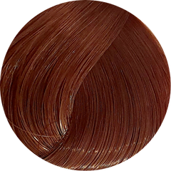 Schwarzkopf Igora Royal 6-68 Dark Blonde Chocolate Red 60ml
