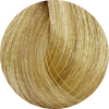 KC Permanent Colour 11.3 Super Light Golden Blonde, Super Lights - WAHairSuppliers