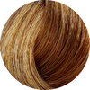 KC Permanent Colour 9.34 Very Light Copper Blonde, Gold Series - WAHairSuppliers