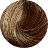 KC Permanent Colour 8.33 Deep Light Golden Blonde, Gold Series - WAHairSuppliers