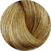 KC Permanent Colour 8.3 Light Golden Blonde, Gold Series - WAHairSuppliers