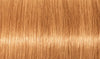 Indola Colour Pastel P.14 Peachy Blonde - WAHairSuppliers