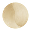 Fanola Colour No Yellow Color S.1202 Anti-Yellow Ice Superlightener - WAHairSuppliers